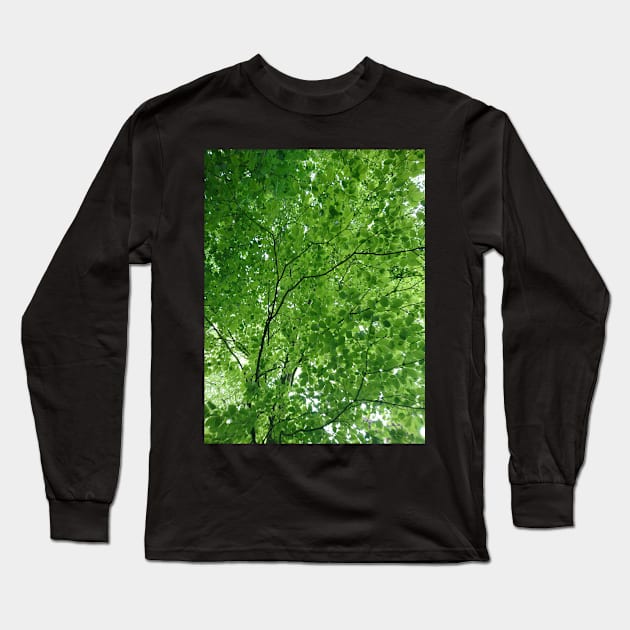 Light through green leaves Long Sleeve T-Shirt by bettyretro